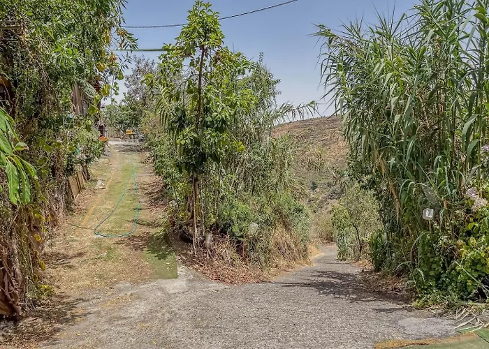 La Yedra Vega de San Mateo