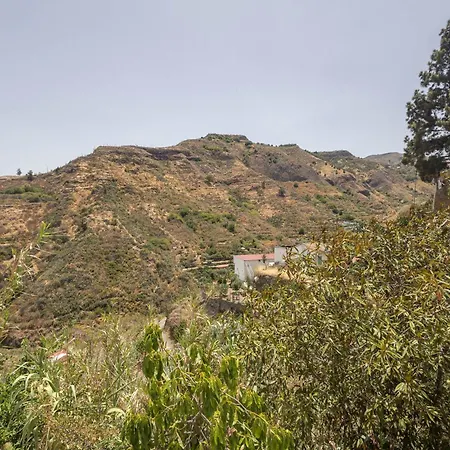 La Yedra *
